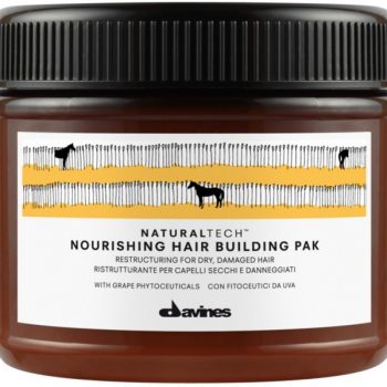 Davines Natural Tech Nourishing Hair Building Pak